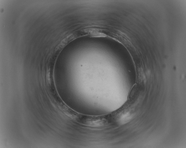 X0000074930267200609081333