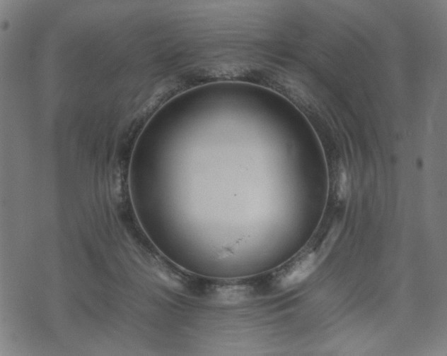 X0000074930268200609081333