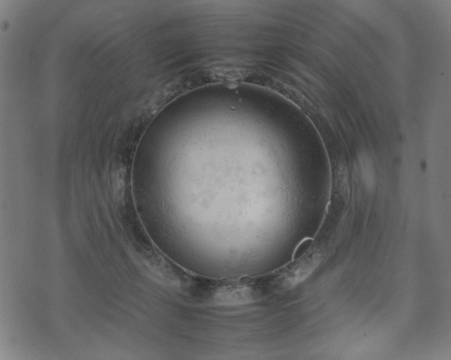 X0000074930271200609081333