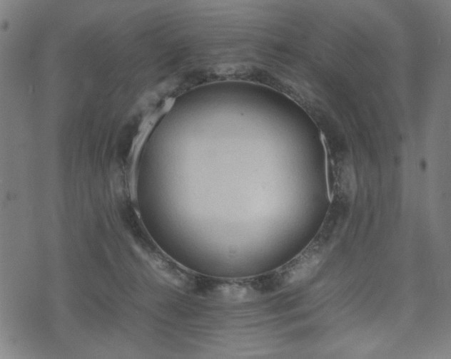 X0000074930272200609081333