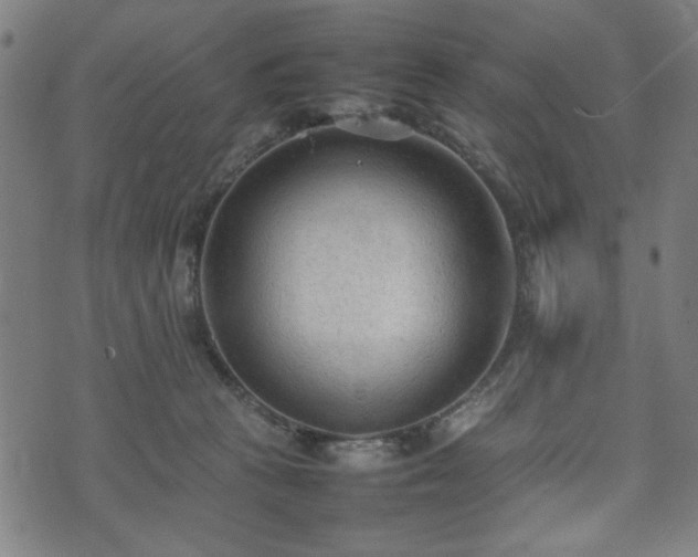 X0000074930273200609081333