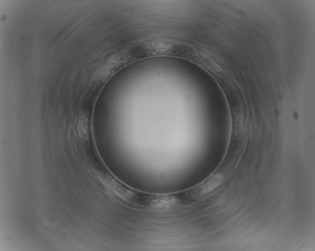 X0000074930274200609081333