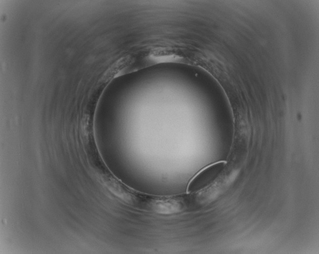 X0000074930275200609081333