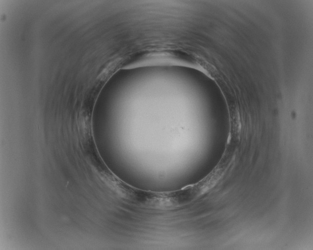 X0000074930276200609081333