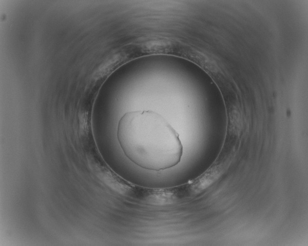 X0000074930278200609081333