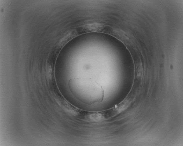 X0000074930279200609081333