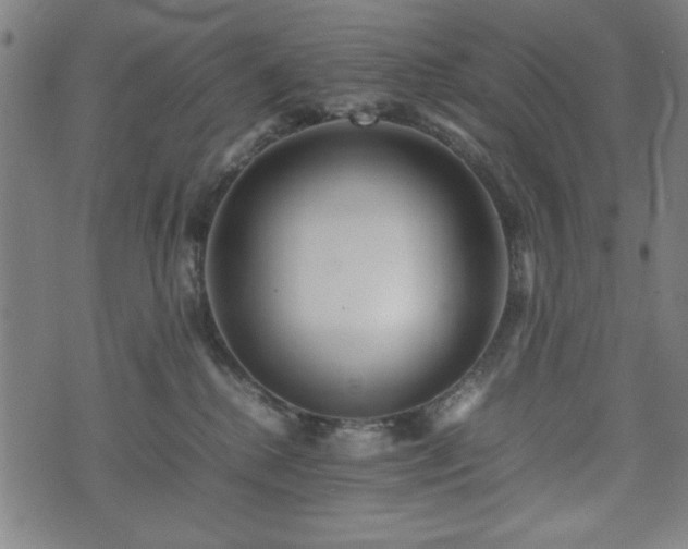 X0000074930280200609081333