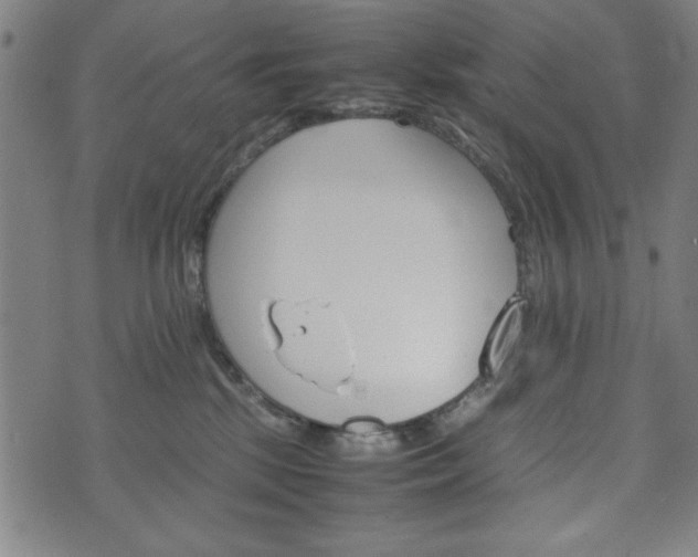 X0000074930281200609081333