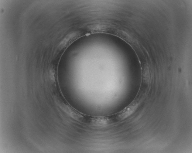 X0000074930282200609081333