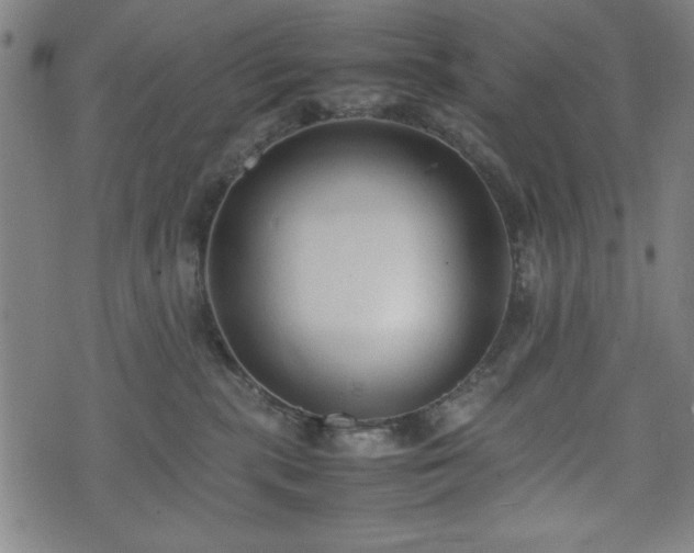 X0000074930283200609081333