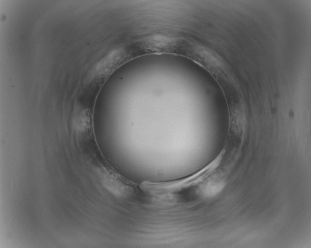 X0000074930284200609081333