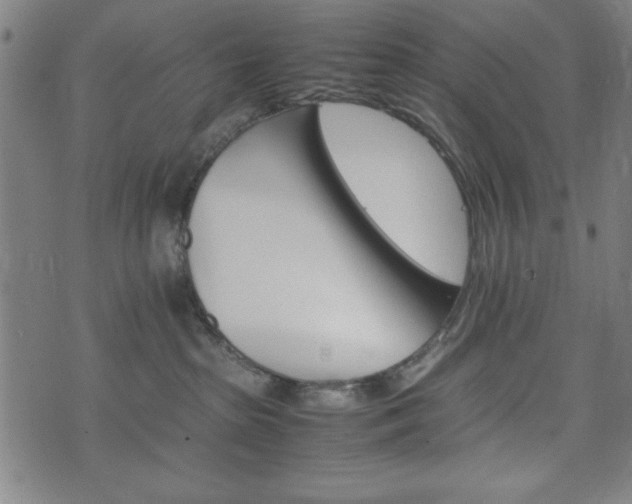 X0000074930285200609081333