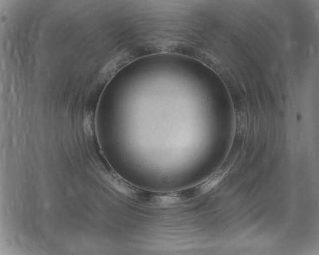 X0000074930286200609081333