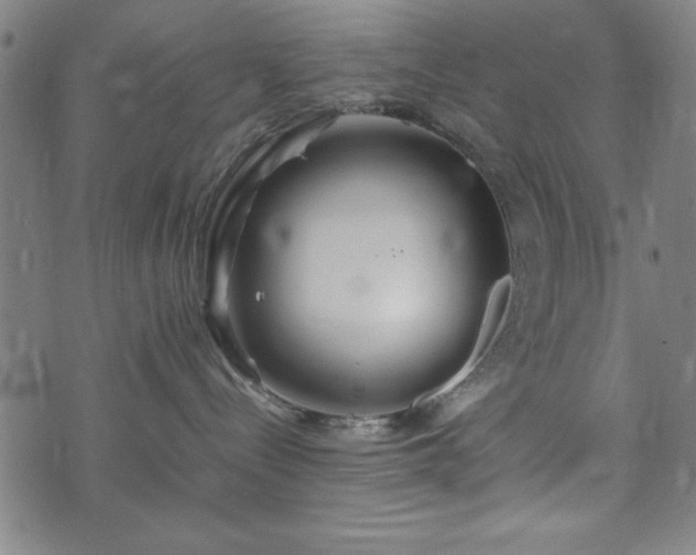 X0000074930288200609081333