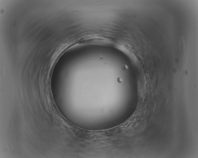 X0000074930289200609081333