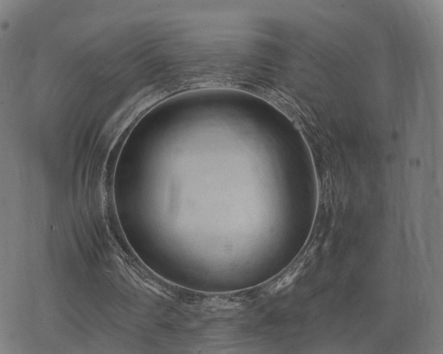 X0000074930290200609081333