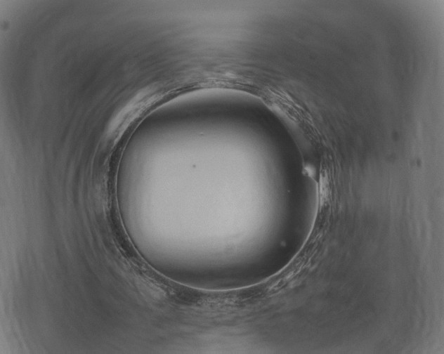 X0000074930291200609081333