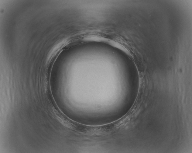 X0000074930293200609081333