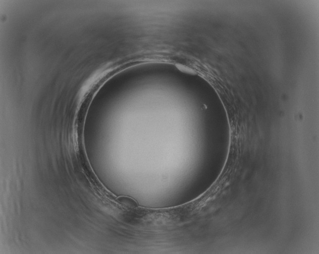 X0000074930294200609081333