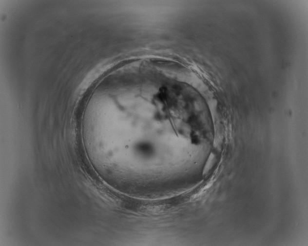 X0000074930295200609081333