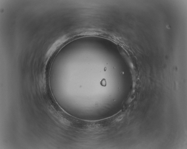 X0000074930296200609081333