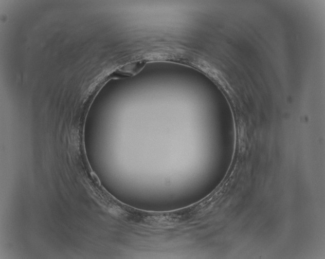 X0000074930297200609081332