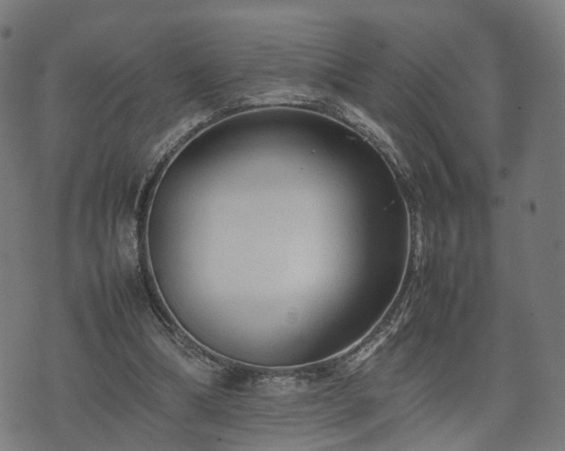 X0000074930298200609081332