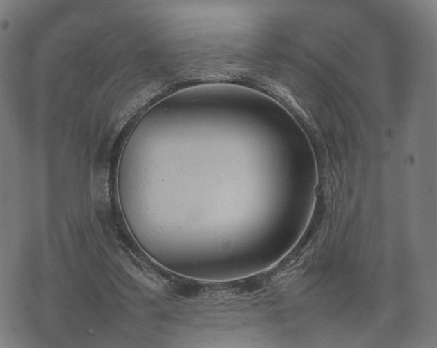 X0000074930299200609081332