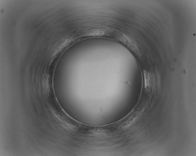 X0000074930300200609081332