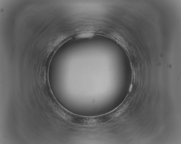 X0000074930301200609081332