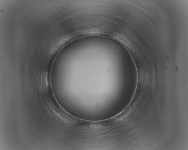 X0000074930302200609081332