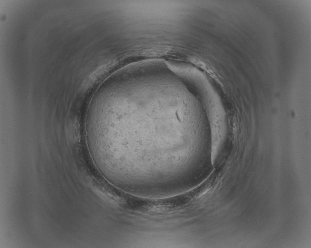 X0000074930303200609081332