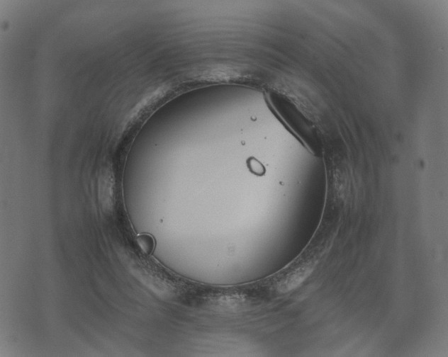 X0000074930304200609081332