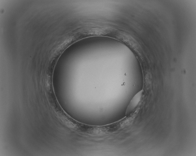 X0000074930305200609081332