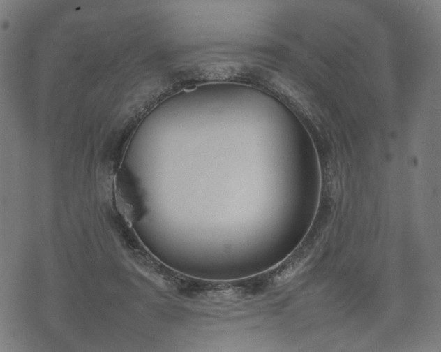 X0000074930307200609081332