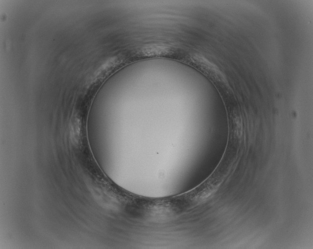 X0000074930308200609081332