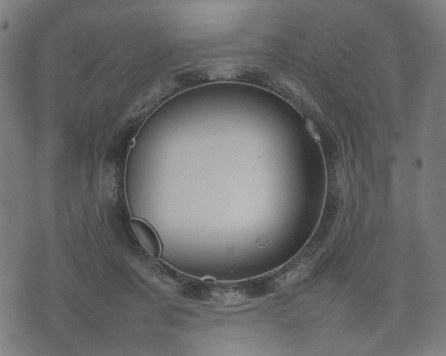 X0000074930311200609081332