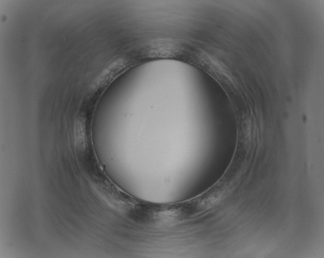 X0000074930312200609081332