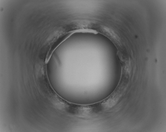 X0000074930313200609081332