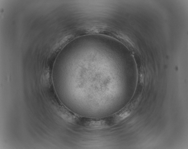 X0000074930314200609081332