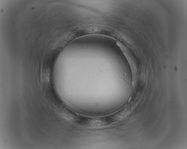 X0000074930315200609081332