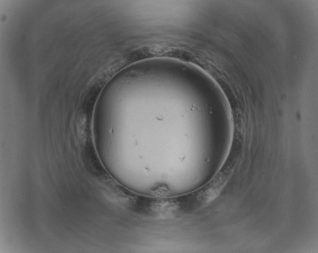 X0000074930319200609081332