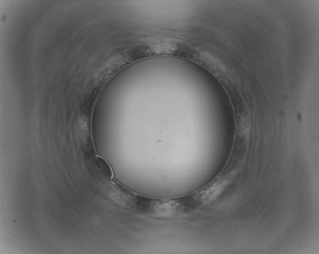 X0000074930321200609081332