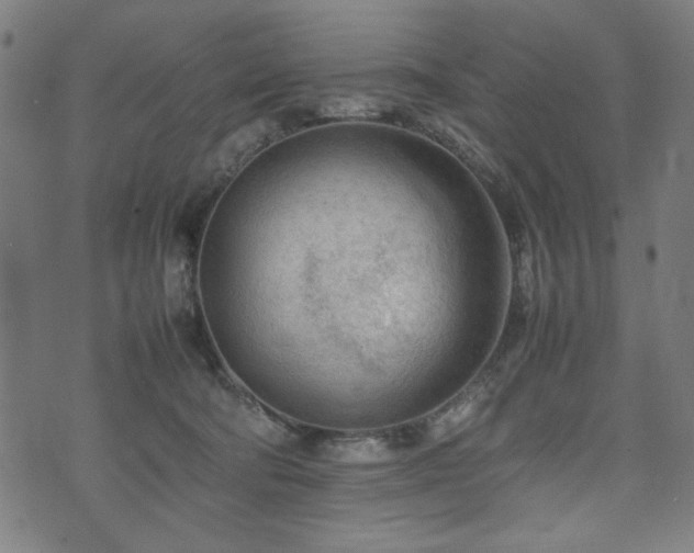 X0000074930322200609081332