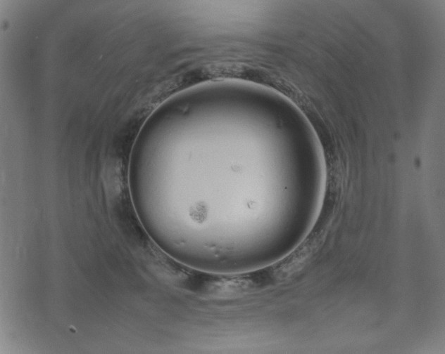 X0000074930323200609081332