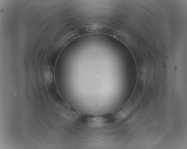 X0000074930324200609081332