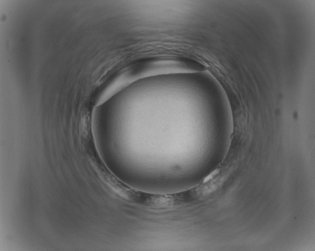 X0000074930325200609081332