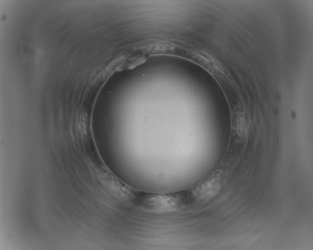 X0000074930326200609081332