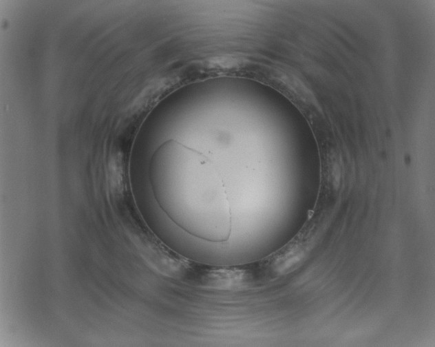 X0000074930328200609081332