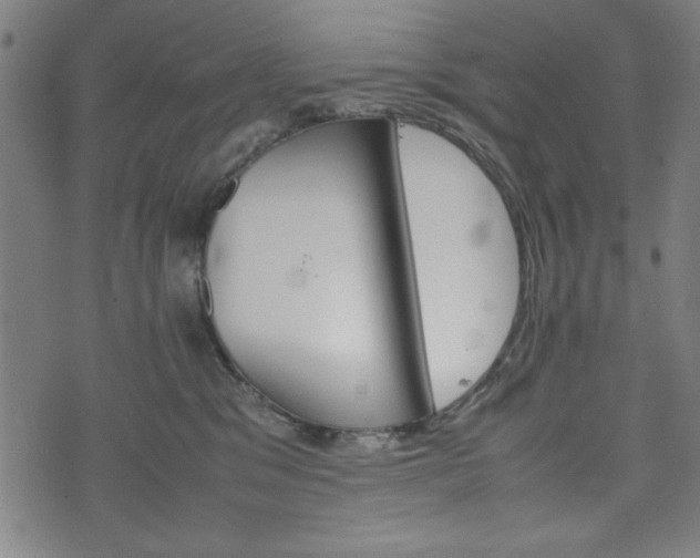 X0000074930329200609081332